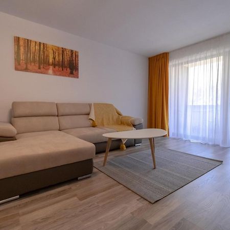 Transylvanian Apt. W/ Lrg. Terrace And Parking - Karpatenhaus 브라쇼브 외부 사진
