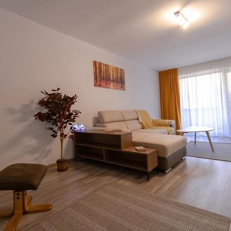 Transylvanian Apt. W/ Lrg. Terrace And Parking - Karpatenhaus 브라쇼브 외부 사진
