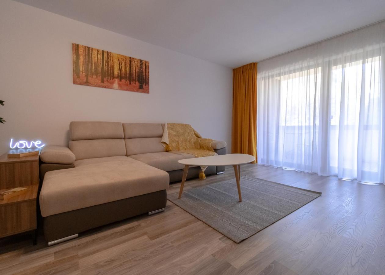 Transylvanian Apt. W/ Lrg. Terrace And Parking - Karpatenhaus 브라쇼브 외부 사진